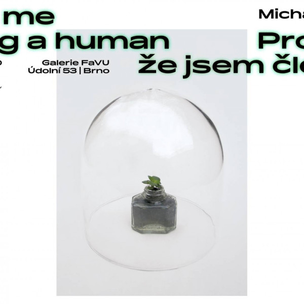 Forgive me for being a human – Michalina Klasik in Brno