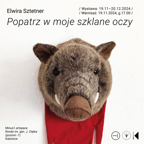 Elwira Sztetner – Popatrz w moje szklane oczy