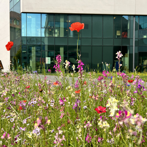 Świąteczna akcja wsparcia osób bezdomnych i wykluczonych społecznie „Podziel się! Na Święta”