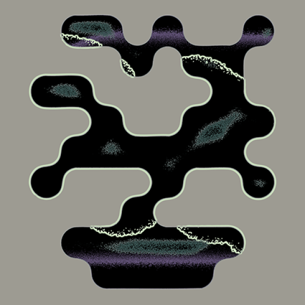 Wod&oacute;r, Węgiel, Azot, Tlen 