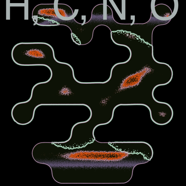 Zapraszamy na wystawę &bdquo;H, C, N, O&rdquo;