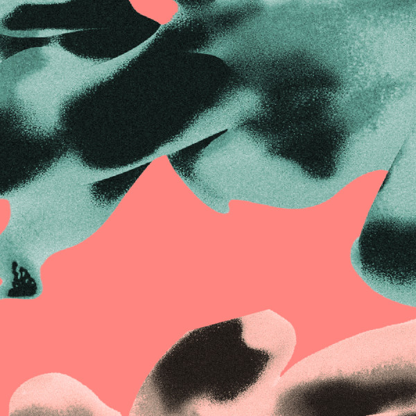 ROZBIEG 3.0 Znamy wyniki!