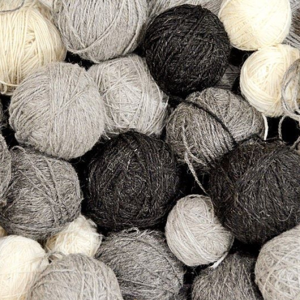 The story of wool: open lecture