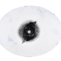 Ortus 05, Karolina_Moszczynska, 2011