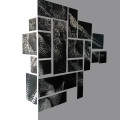 Kameleon, Anna Rank, 2013