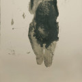 Madonna, Alicja Bednarek, 2011