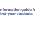 Information guide preview