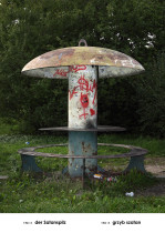 Grzyb szatan, z cyklu A-Z (Gabloty edukacyjne), Andrzej Tobis, 2012 