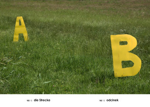 Odcinek, z cyklu A-Z  (Gabloty edukacyjne), Andrzej Tobis, 2008