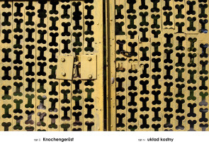 Układ kostny, z cyklu A-Z (Gabloty edukacyjne), Andrzej Tobis, 2012