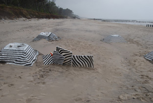 działania plenerowe, Monika Sojka, 2010