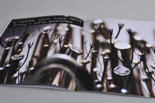 Agnieszka Bala / srebrzyste łany / 2015