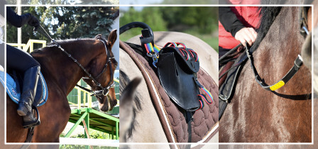 ilustracja  Produkty usprawniające zajęcia hipoterapii i  parajeździectwa.