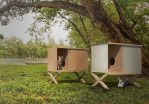 Projekt budki dla kotów wolno żyjących, jako element wspomagający pielęgnowanie relacji w społeczności pomagającej kotom