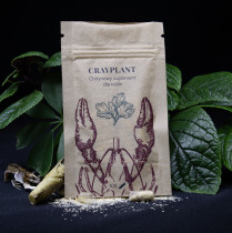 Projekt usługi neutralizacji z otoczenia naturalnego raka inwazyjnego.