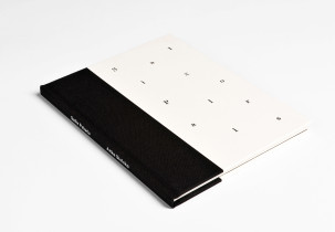 Salix Polaris / 2014