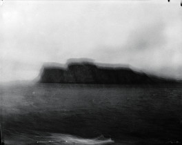 z cyklu Salix Polaris / 2012