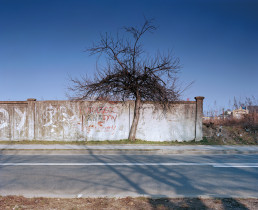 W stronę centrum (2017)