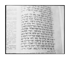 Księga I, II, III (2013)