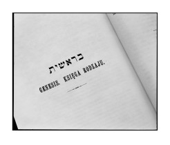 Księga I, II, III (2013)