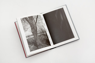 O obiektach i ich cieniach II (2022)