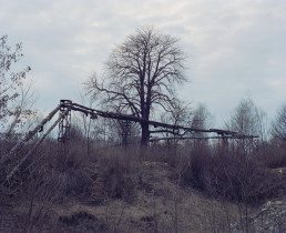 W stronę centrum (2017)