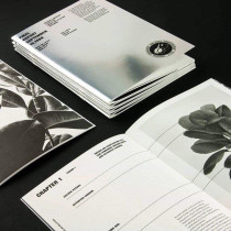 Projekt raportu_III rok, Patrycja Kędzierska, 2018