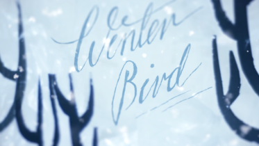 Paulina Kozieł | Winter Bird | short film | bachelor's degree 2019  