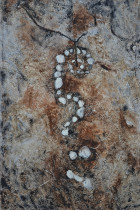 Anna Puszczewicz, Landart 2, olej na płótnie, 70 x 50 cm, 2011