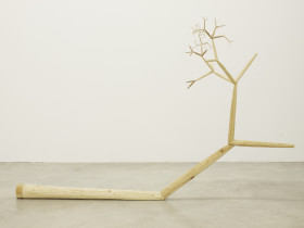 Gałąź, 2015, drewno