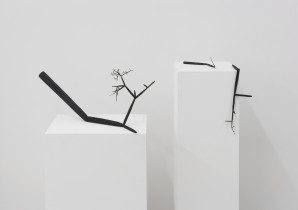 Fibonacci Chaos, 2015, widok wystawy