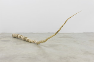 232,  2015, drewno, 133 x 350 x 15 cm