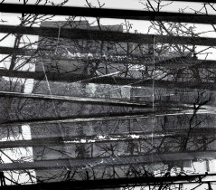 Rytmy miasta/Kinga Sobolewska/2020