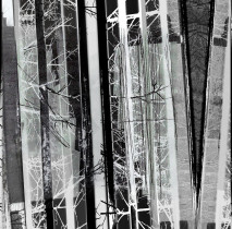 Rytmy miasta/Kinga Sobolewska/2020