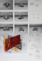 Analiza obiektu naturalnego | Wiktoria Maszczyk | 2025