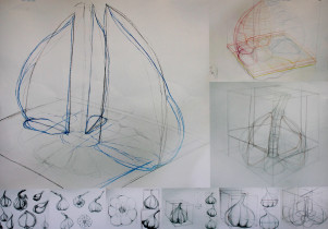 Analiza obiektu naturalnego | Zofia Szczygieł | 2024