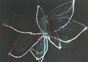 Analiza obiektu naturalnego/Alicja Walczyk/2020