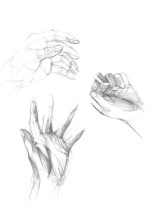 Szkice/Weronika Połap/2020