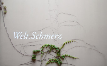 Widok wystawy Welt.Schmerz, Travel Agency Collective, w ramach projektu Art Capital, Szentendre Musem, Budapeszt, 2016