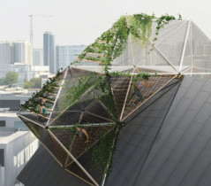 Weronika Sikora. Bluszcz, projtke konkursowy