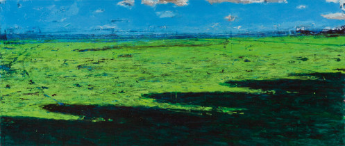 Z cyklu: "Punkt widzenia", 2008, olej, akryl, 112 x 260 cm