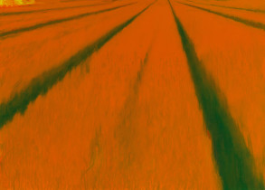 Z cyklu: "Punkt widzenia", 2010, akryl, 170 x 236 cm