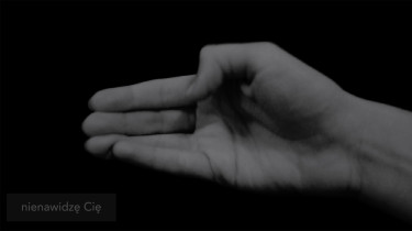 Agnieszka Zmuda, Język ciała, Animacja, 2017