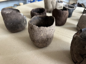 Projekt eksperymentalnej doniczki biodegradowalnej