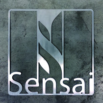 wizualizacja tożsamości marki / Elwira Schabikowska / 2022