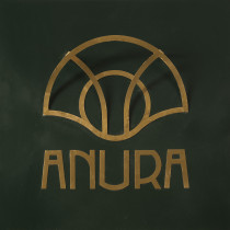 wizualizacja tożsamości marki / Nikola Rajda / 2022