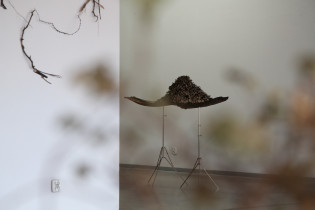 Closer (Format), instalacja grawitacyjna