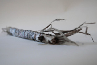 Total, obiekt, fragment instalacji