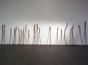 KIJE WĘDROWNE | Michalina W. Klasik | zbiór obiektów | 2019