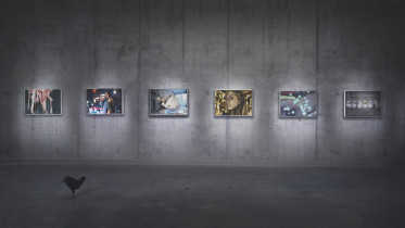 Sylwia Dybich/Dyplom licencjacki/Projektowanie graficzne/ marzec 2017